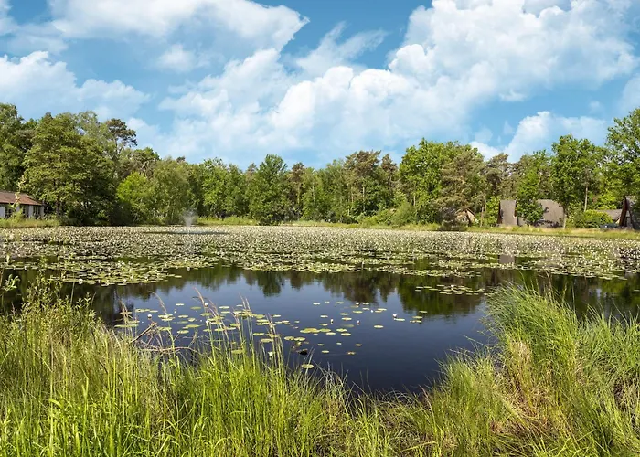 For 12 Guests On Vosseven Holiday home